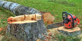 Best Tree Mulching  in Pompton Lakes, NJ