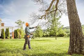 How Our Tree Care Process Works  in  Pompton Lakes, NJ