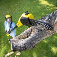 Best Lawn Maintenance Plans  in Pompton Lakes, NJ