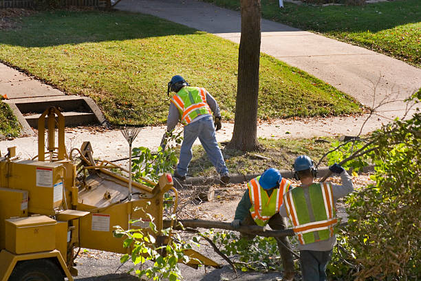 Best Tree Cabling and Bracing  in Pompton Lakes, NJ