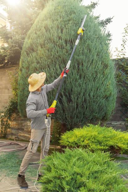 Best Tree Preservation Services  in Pompton Lakes, NJ